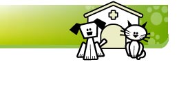 Desenho de um cão e um Gato numa casinha-hospital